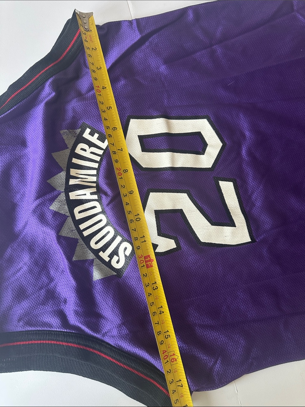 Z—Champion Purple Mesh Basketball Jersey with Red Accent - Picture 14 of 16